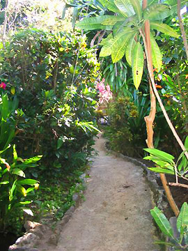 Entrance and Garden - Bananas Garden Negril Jamaica Resorts and Hotels