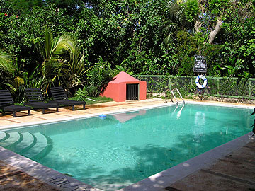 Banana's Garden Pool - Bananas Garden Pool Negril Jamaica Resorts and Hotels