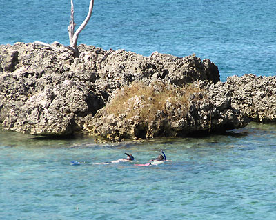 Rhodes Hall Private Beach and Snorkeling - Rhodes Hall Resort Snorkeling, Negril Jamaica Resorts and Hotels